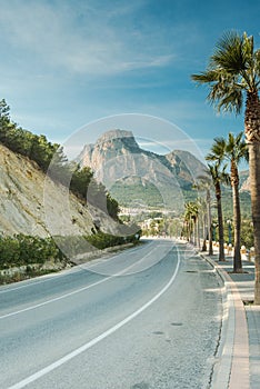 Turistic road in Alicante, Spain with Palms
