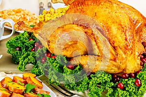A turkey adorned with herbs and cranberries is perfect Thanksgiving dinner.