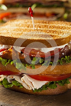 Turkey and Bacon Club Sandwich