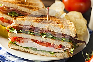 Turkey and Bacon Club Sandwich