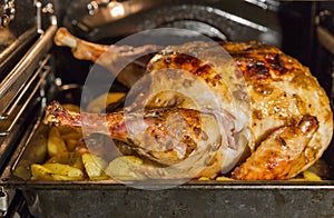 Turkey is baked in the oven closeup