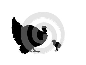 Turkey bird black silhouette animal