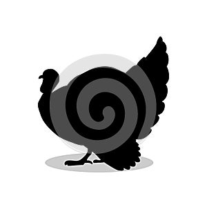 Turkey bird black silhouette animal