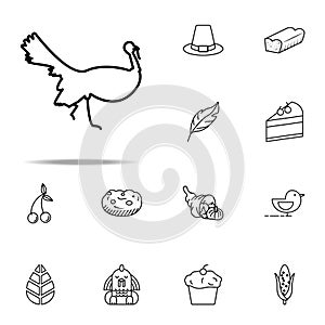 Turkey, Bird, Farm icon. Thanksgiving day icons universal set for web and mobile