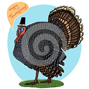 Turkey bird wearing pilgrim hat illustration