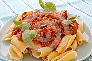 Turkey bolognese sauce with pasta
