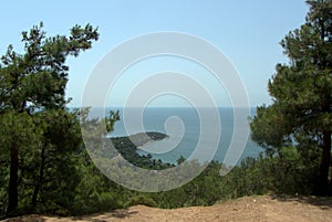 Turkey, Buyukada island, view of a wooded cape