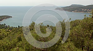 Turkey, Buyukada island, view of the wooded part of the island and the sea