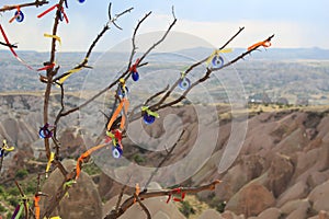 Turkey Cappadocia Mountains Tree