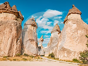 Turkey Cappadocia, Rock Formations in Pasabag Monks Valley, Cappadocia, Turkey