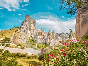 Turkey Cappadocia, Rock Formations in Pasabag Monks Valley, Cappadocia, Turkey