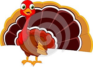 Turkey cartoon for your design