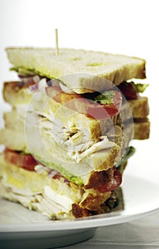 Turkey club sandwich