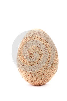 Turkey-cock egg