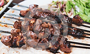 Turkey, Diyarbakir lamb shish kebab on serving plate in restaurant