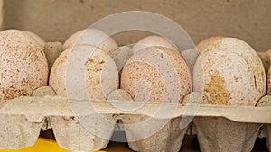 Turkey eggs put in a box. Organic fresh eggs. Homemakers' Market. Farmers' produce for sale photo