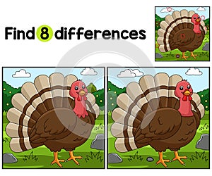 Turkey Farm Find The Differences