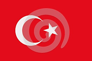 Turkey flag vector