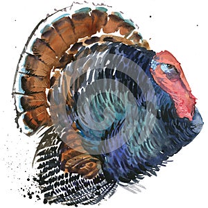 Turkey graphics, turkey illustration with splash watercolor textured background. illustration watercolor Thanksgiving