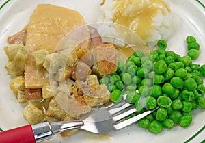 Turkey in gravy peas and mashed potato TV dinner