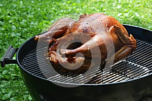 Turkey on Grill