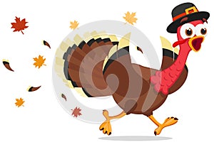 A turkey in a hat runs on a white background. Thanksgiving Day