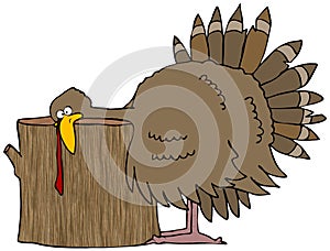 Turkey Head Chop