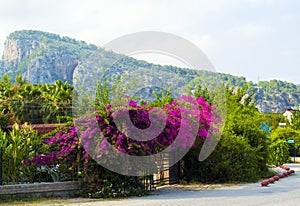 Turkey. Kemer. Turkish mountains. street on a background of m