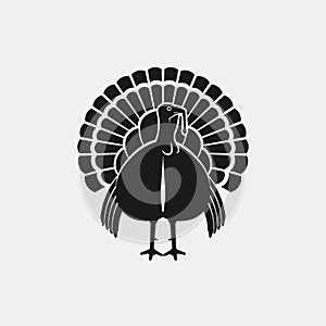 Turkey male silhouette front view. Farm animal icon
