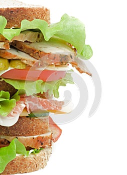 Turkey Meat Sandwich