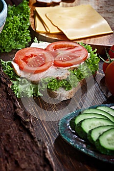 Turkey meat sandwich with tomatoes, cheese, green salad and cucumbers on dark wooden table background