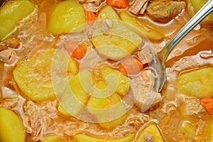 Turkey meat stew with potatoes photo