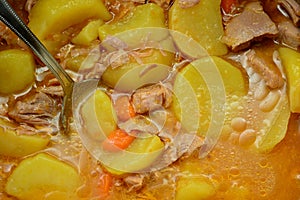 Turkey meat stew with potatoes photo