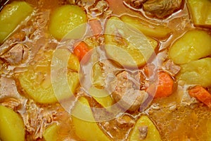 Turkey meat stew with potatoes photo