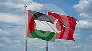 Turkey and Palestine two flags