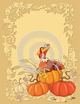 Turkey and pumpkin background