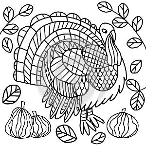 Turkey and pumpkins and leaves black outline on white coloring page for kids and adults.
