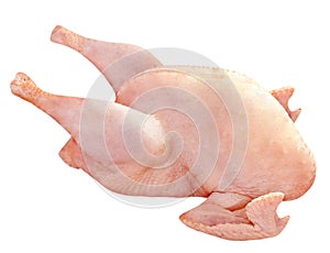 Turkey raw isolated on white