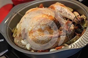 Turkey roast 6573