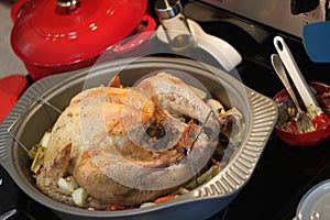 Turkey roast 6574