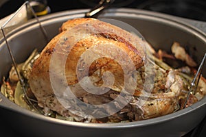 Turkey roast 6723