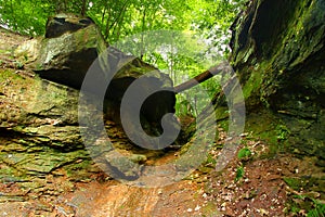 Turkey Run State Park Landscape