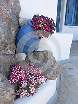 turkey's resort in the Bodrum, flowers in the cube concept