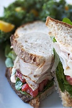 Turkey Sandwich