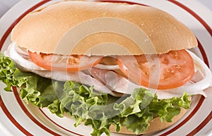 Turkey Sandwich