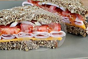 Turkey sandwich closeup