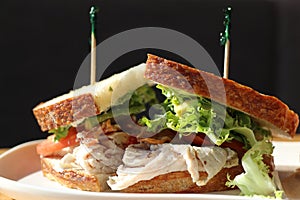 Turkey Sandwich at Panera Bread restaurant in Columbus, GA.