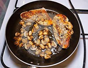 Turkey steak with mushrooms cooking pan fried. Homemade food.