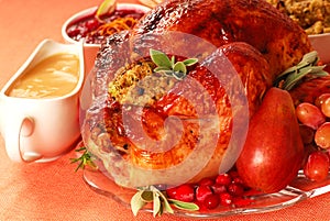 Turkey with stuffing, gravy and cranberry sauce photo