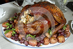 Turkey with Stuffing on Platter photo
